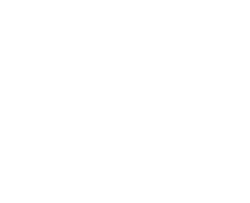 ブーケ&アレンジメント