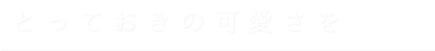 とっておきの可愛さを