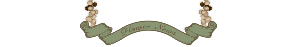 Flower news