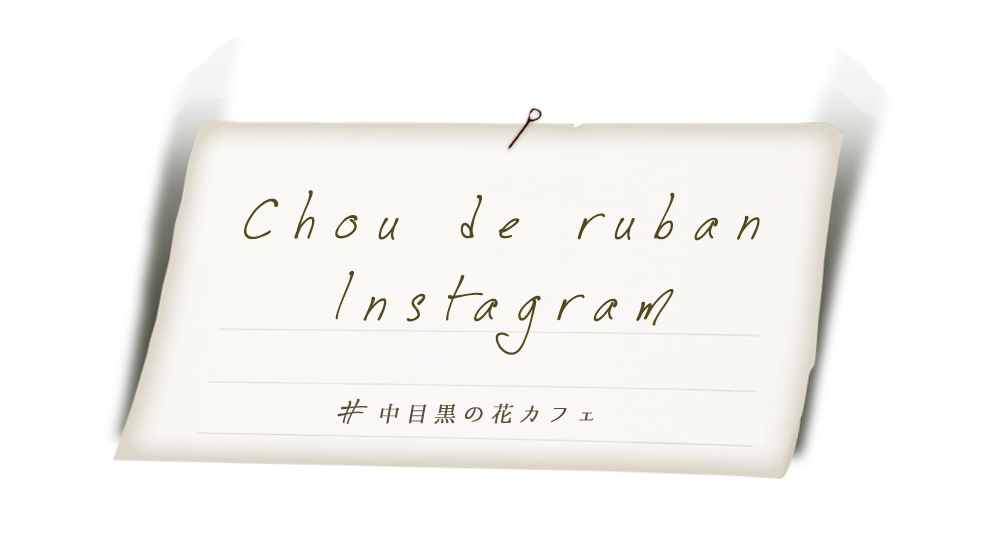 Chou de ruban