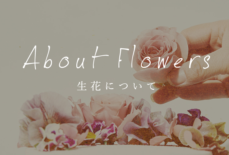 About Flowers