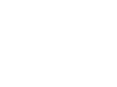 Bouquet & Arrangement