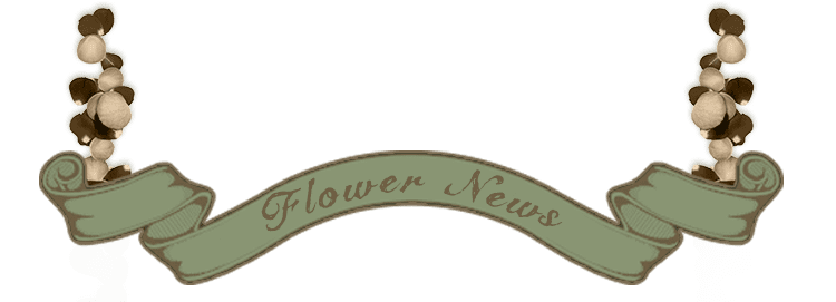 Flower news